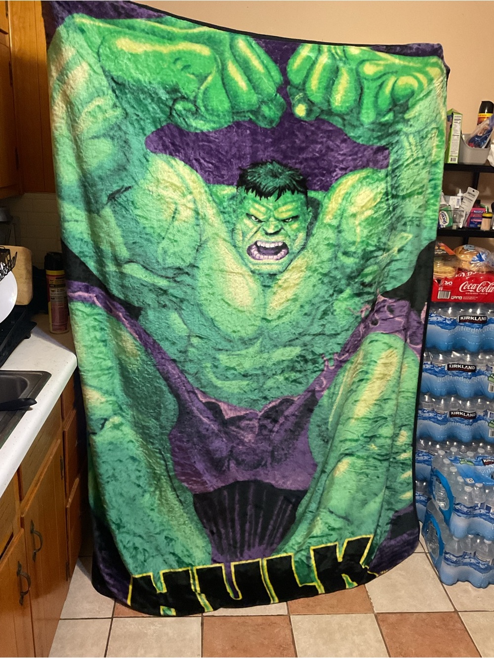 Marvel Hulk Plush Throw Blanket in Green and Purple